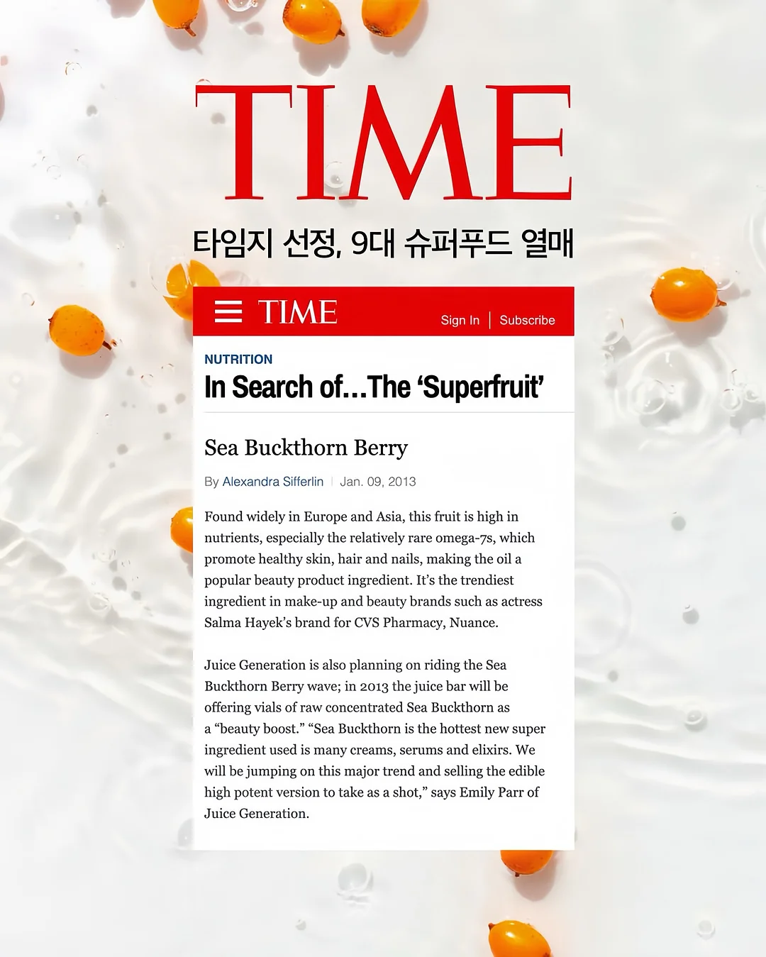 녹담비책 2