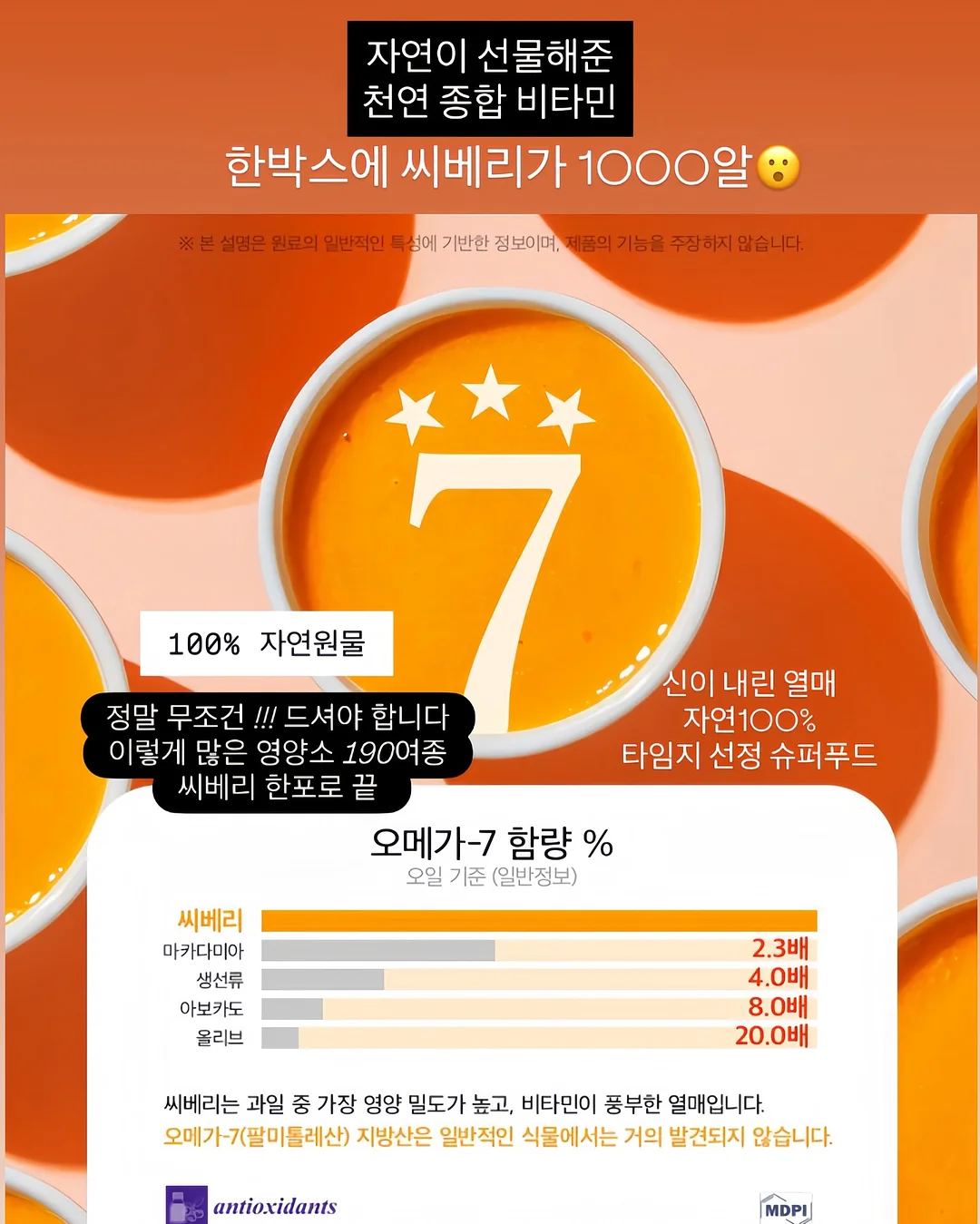 녹담비책 3
