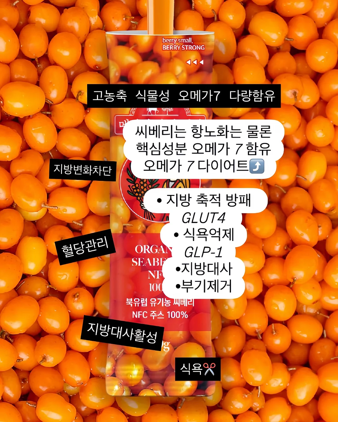 녹담비책 5