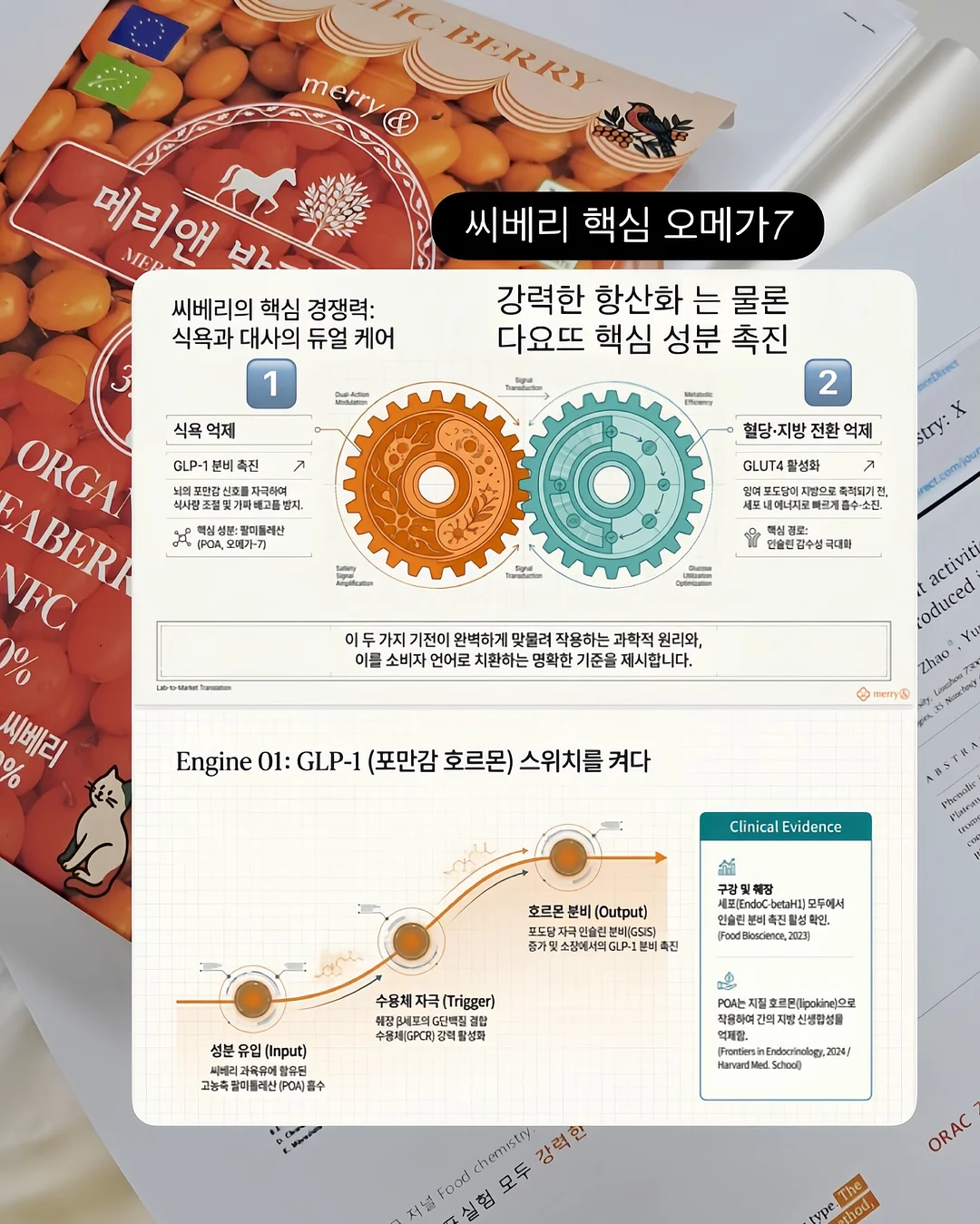 녹담비책 6