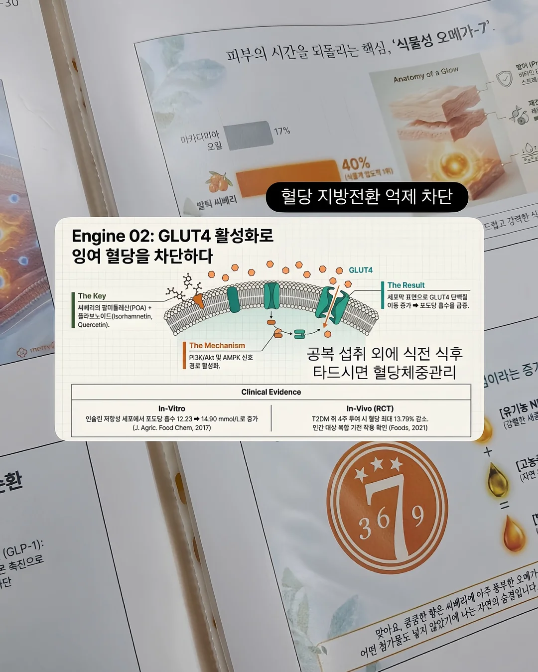 녹담비책 7