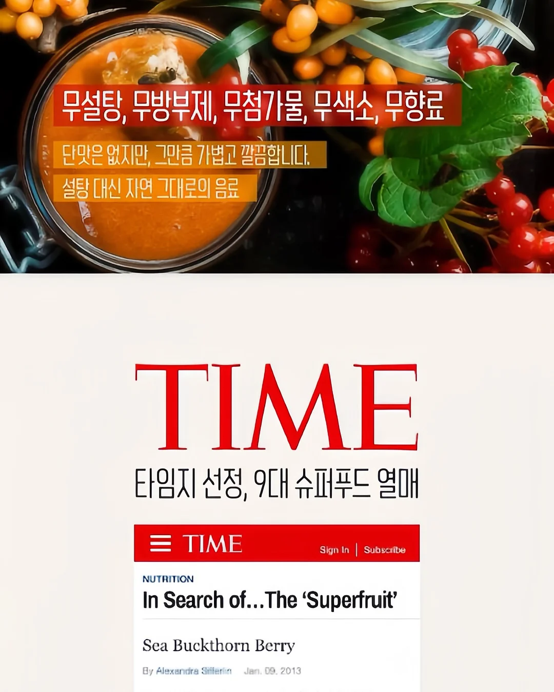녹담비책 8