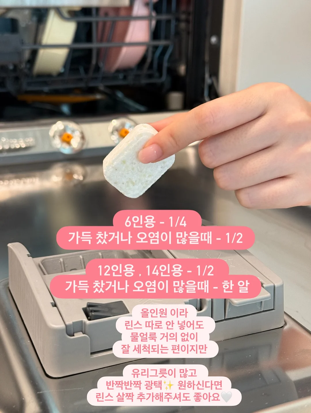 미피 식기 모음전 6