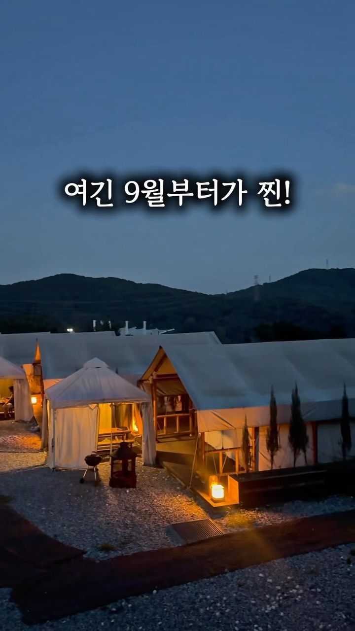 식기세척기