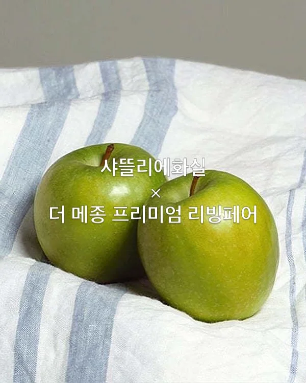 청월아씨 자녀사주 9