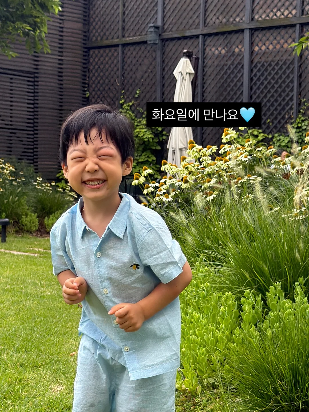 제이제이 스칼프 앰플 15