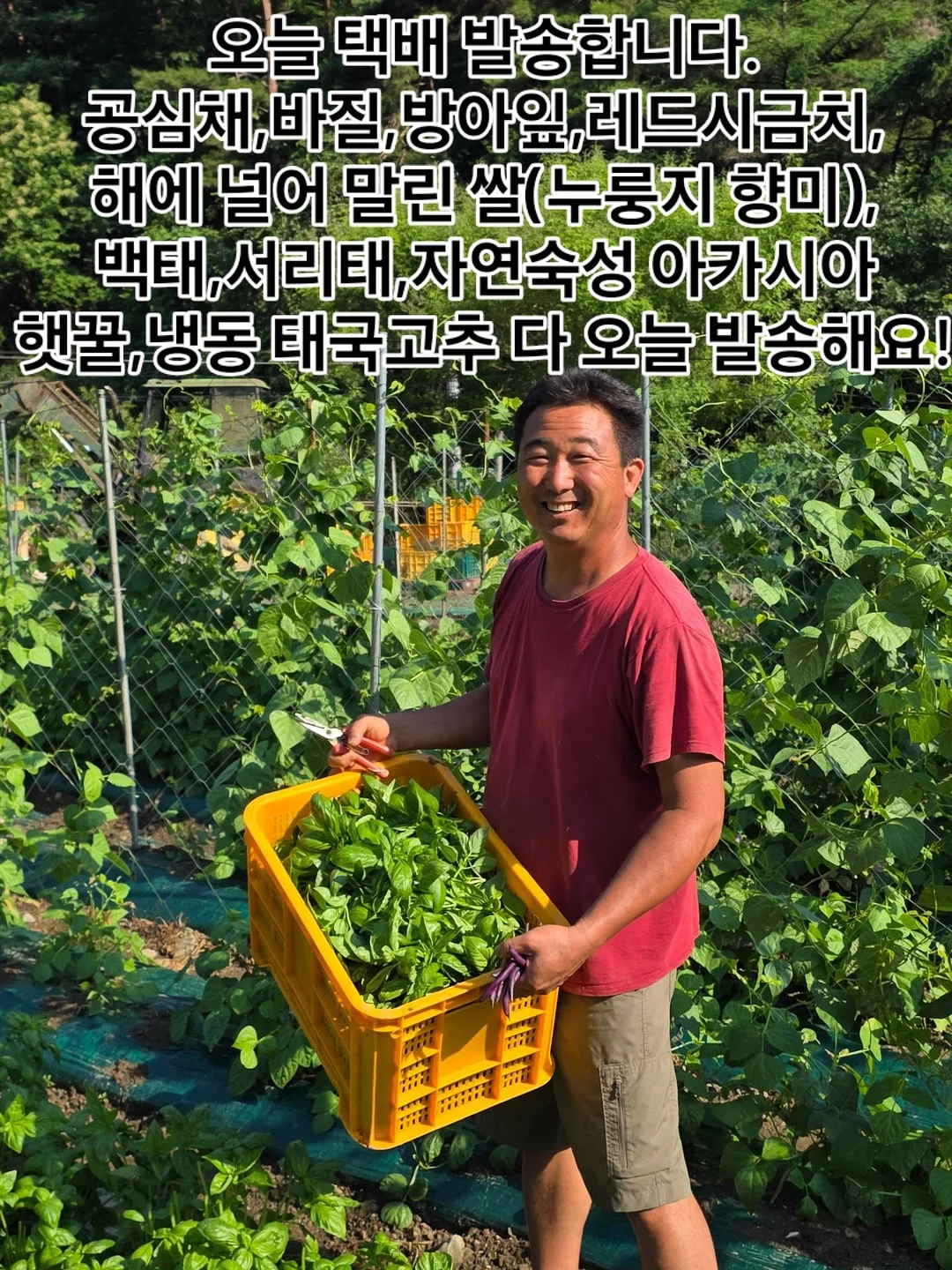 북미산 블랙 월넛 원목 식탁 1