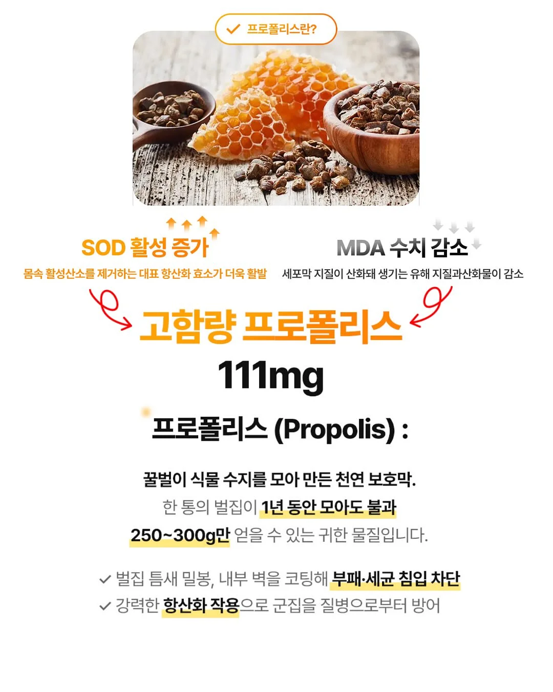 닥터클린톡 8