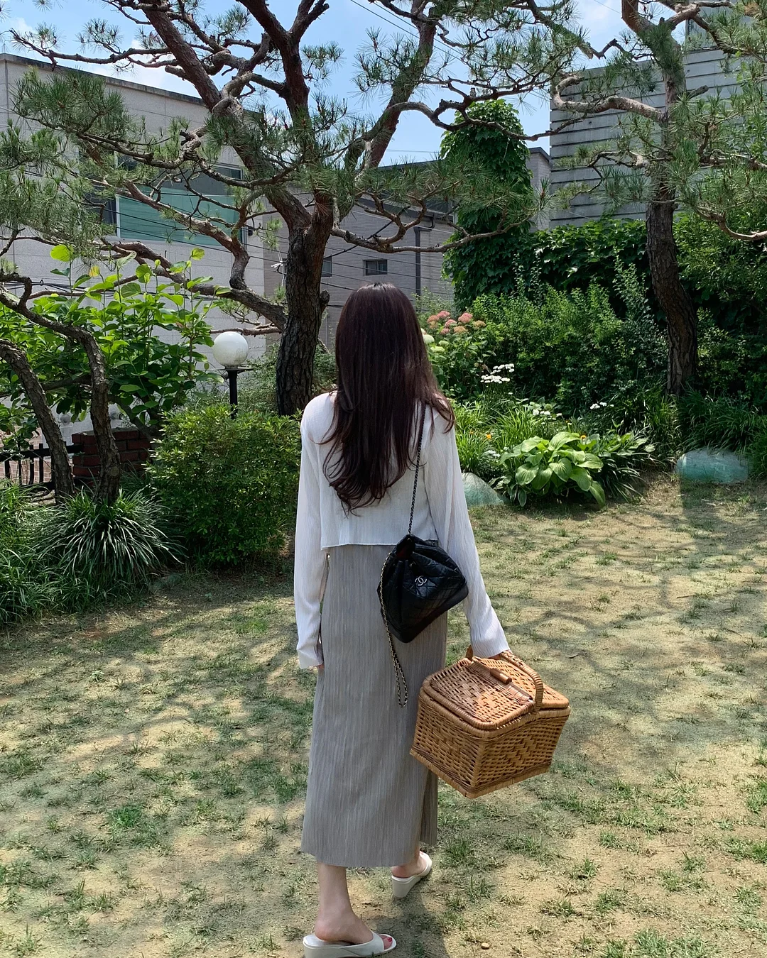 살구 병조림 11