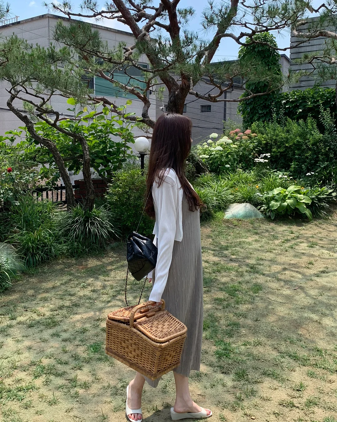 살구 병조림 12