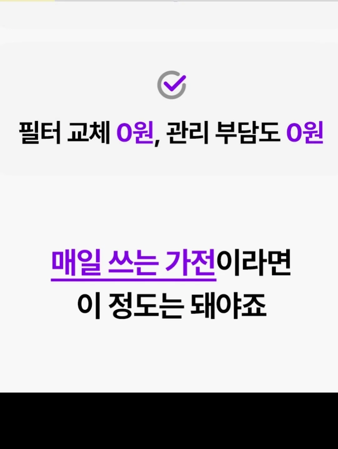 잔나비케이크 11
