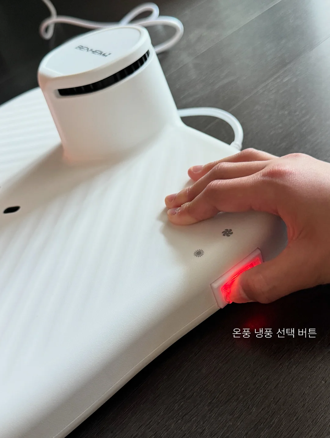 잔나비케이크 3