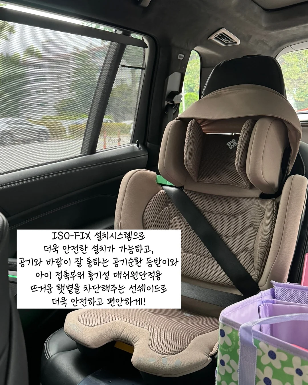 메추리 화식 16