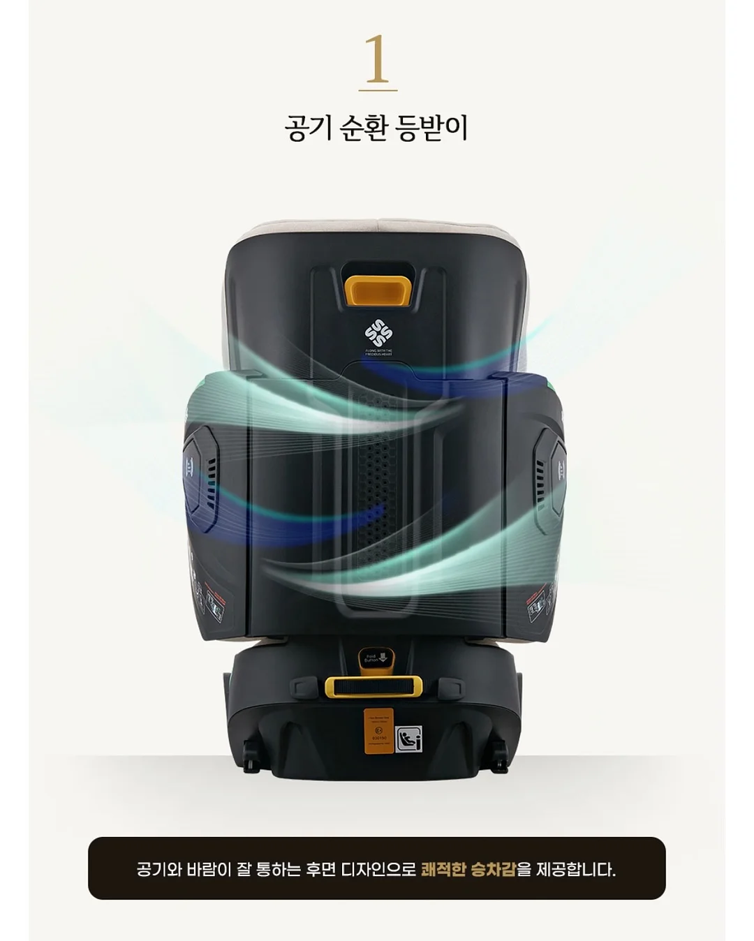 메추리 화식 19