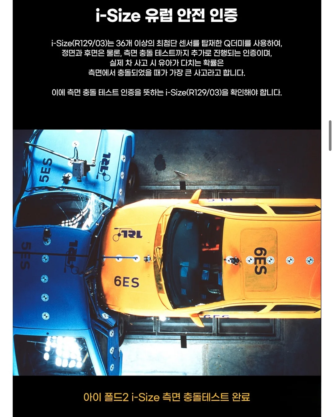 메추리 화식 8