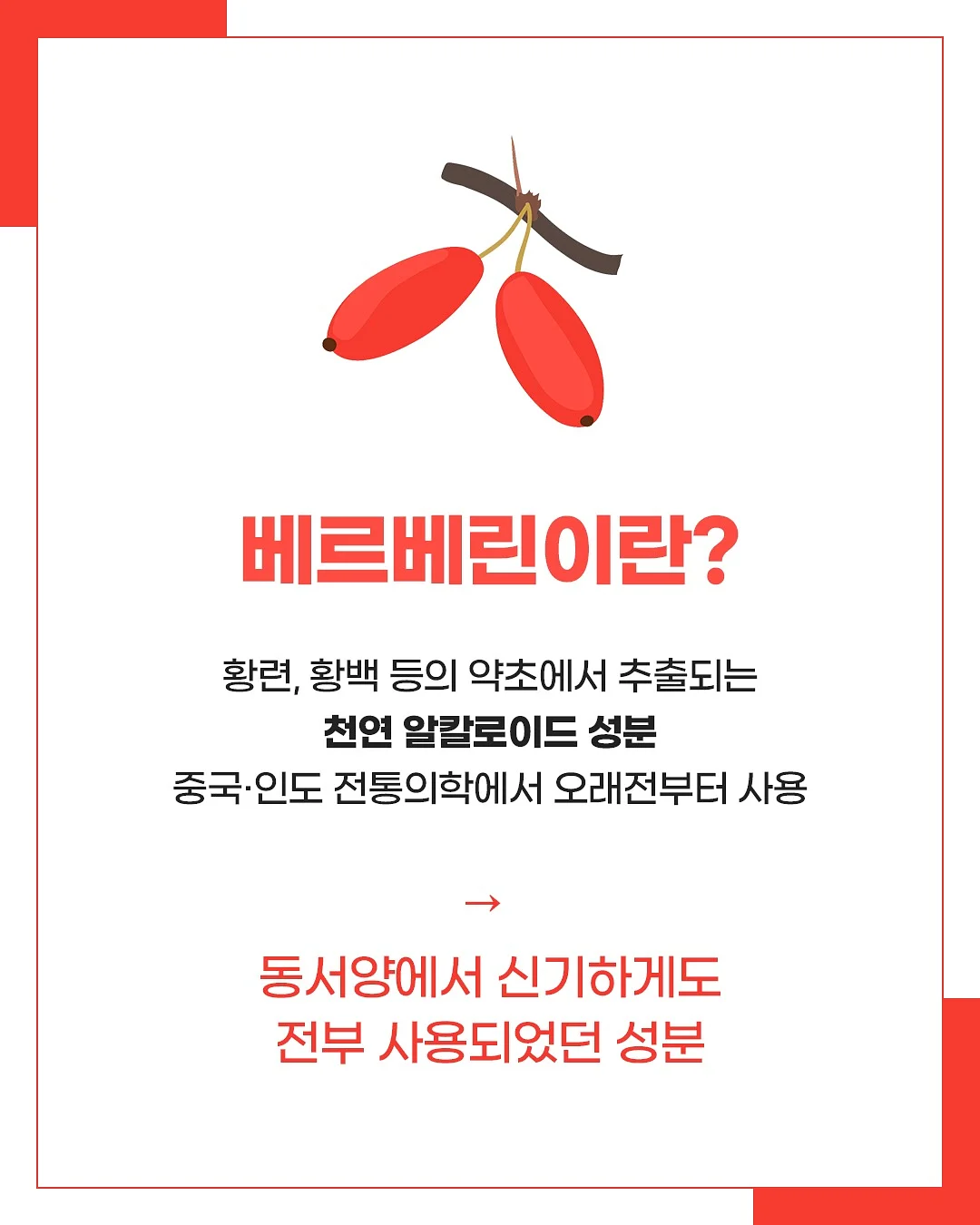 코니카 빅미니 bm201 샴페인골드컬러 필름카메라 4