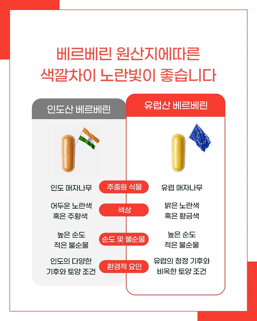 코니카 빅미니 bm201 샴페인골드컬러 필름카메라 5