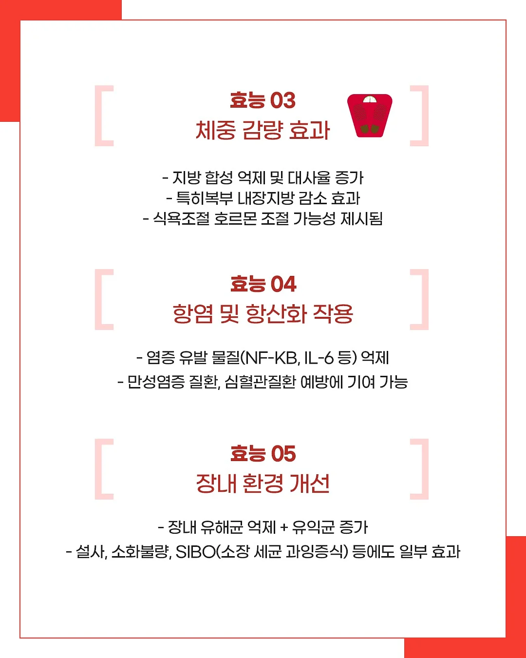 코니카 빅미니 bm201 샴페인골드컬러 필름카메라 8