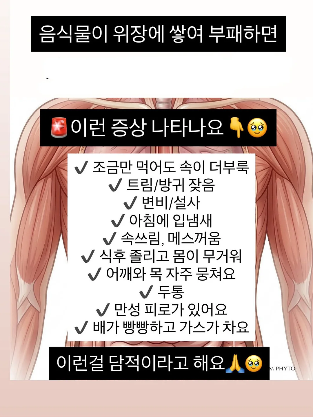 라움더한옥 풀빌라 3