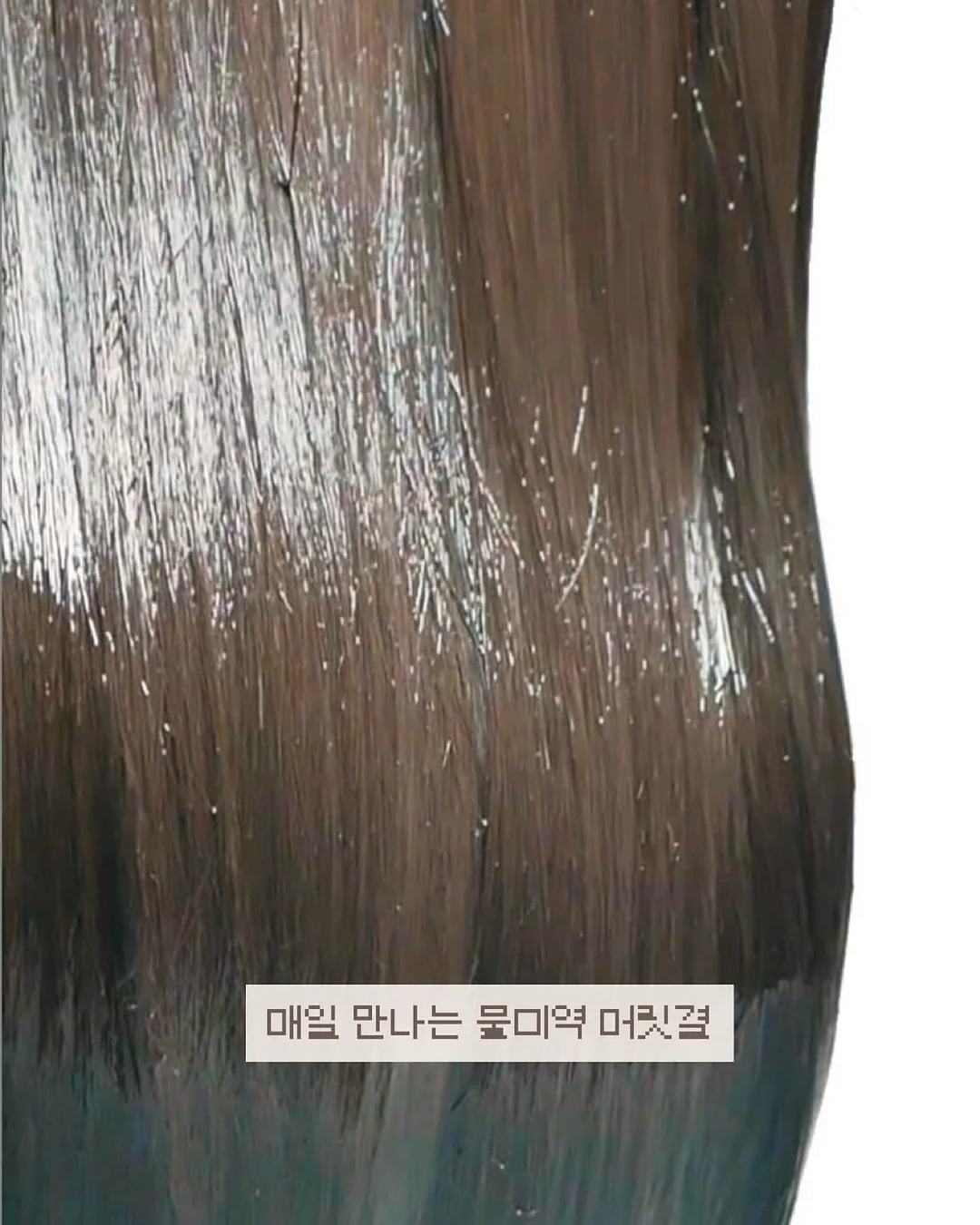 취준생 국비지원 프로그램 2