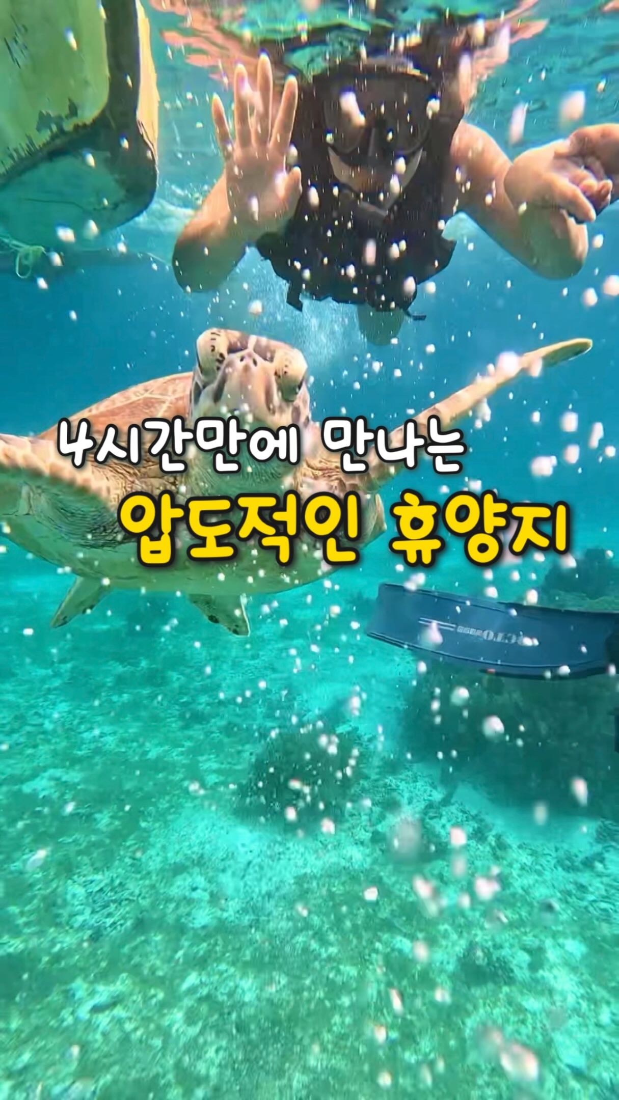 흑임자 경단, 카스테라 호박 인절미, 매화 믹스 송편