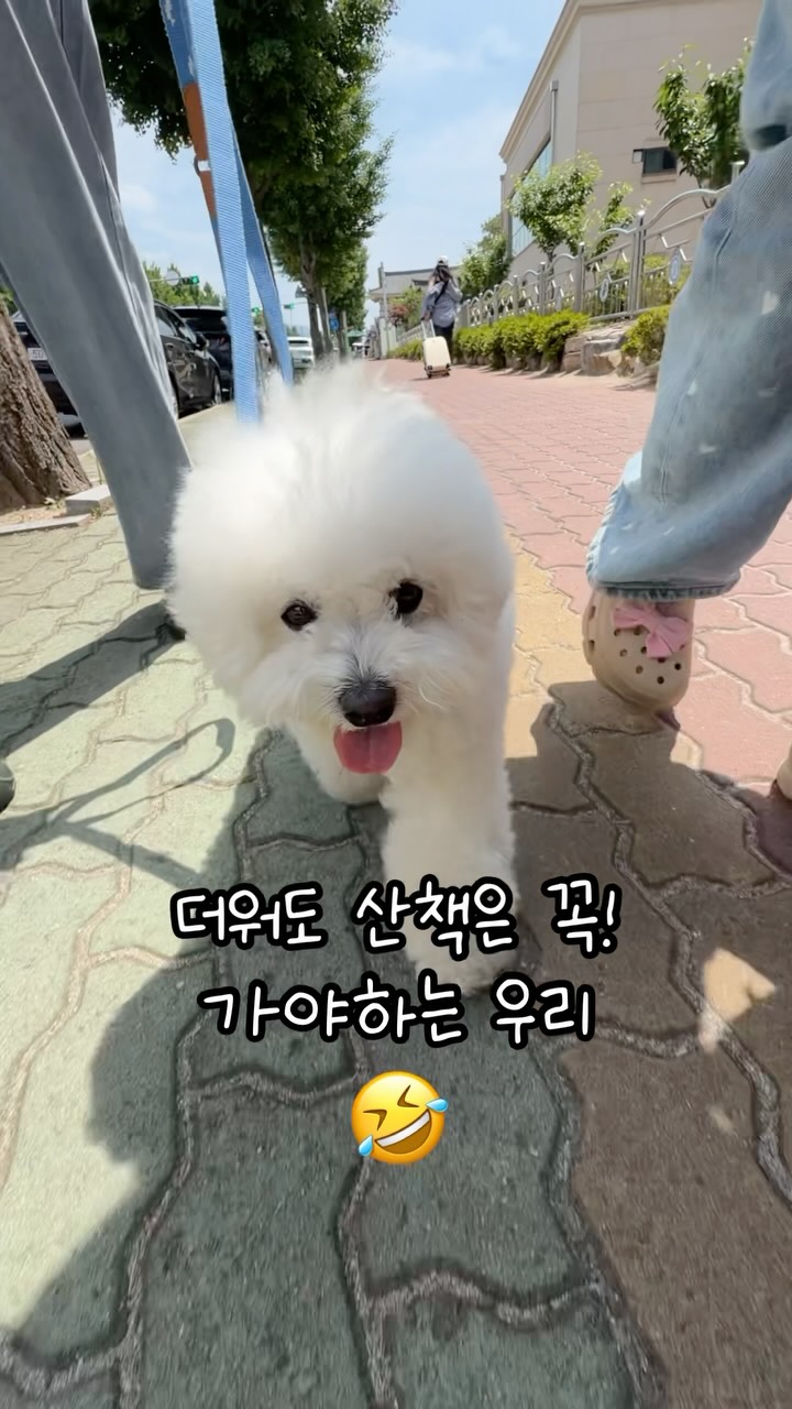 킨즈 마이 비지북