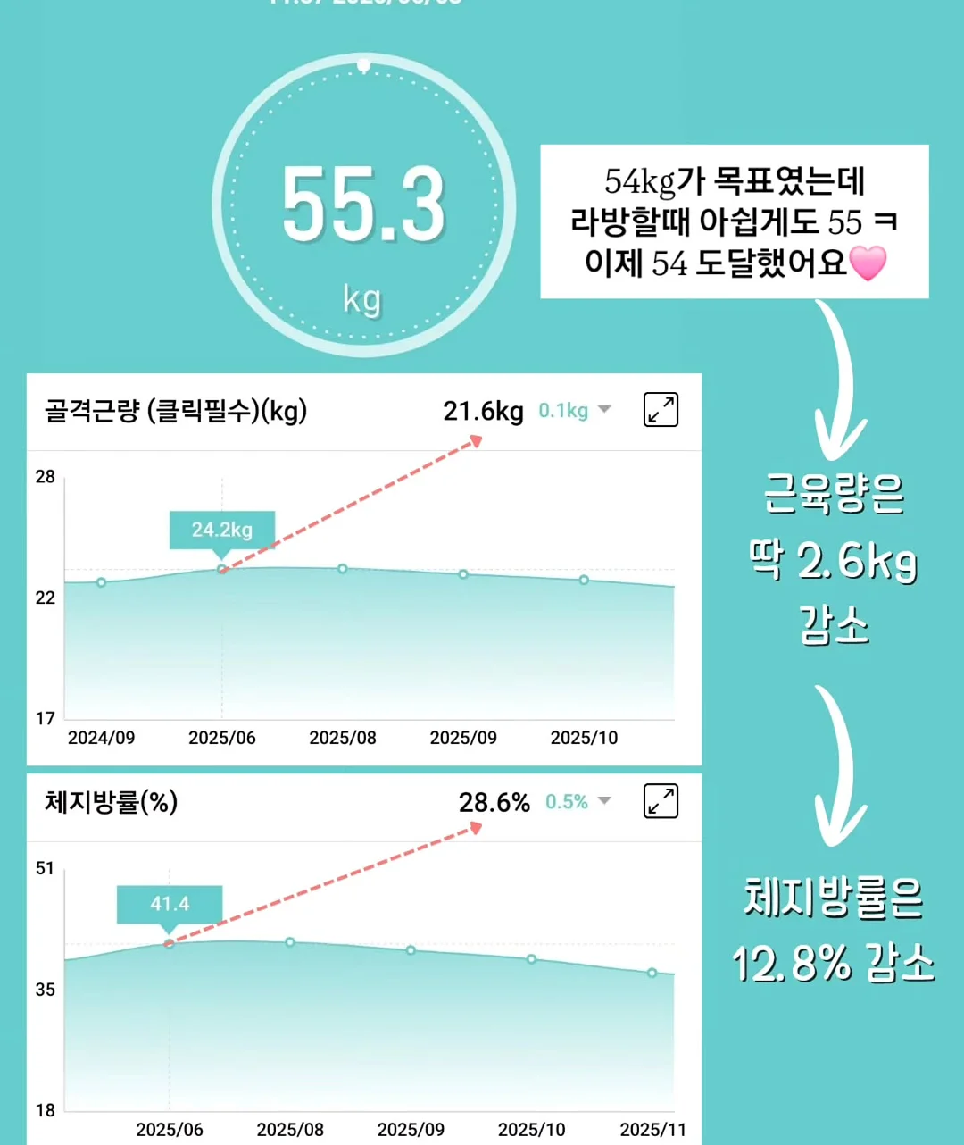 커버 뷔스티에 6