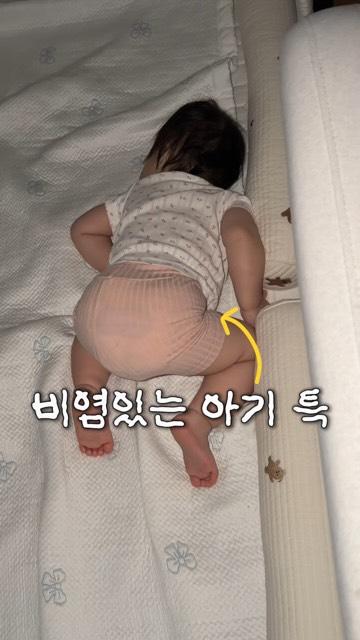 짱구 수납함 및 파우치 세트