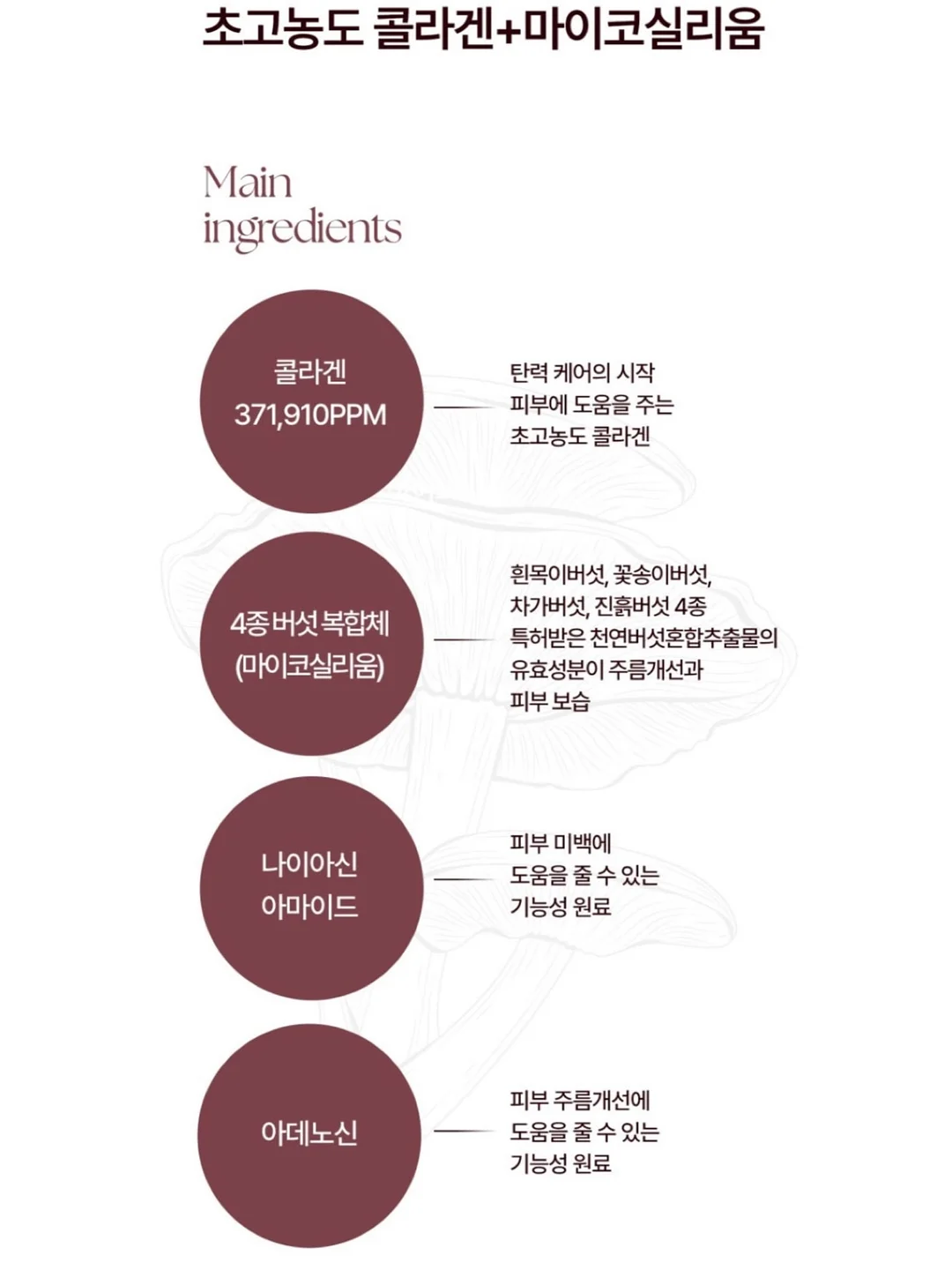 스투키 5