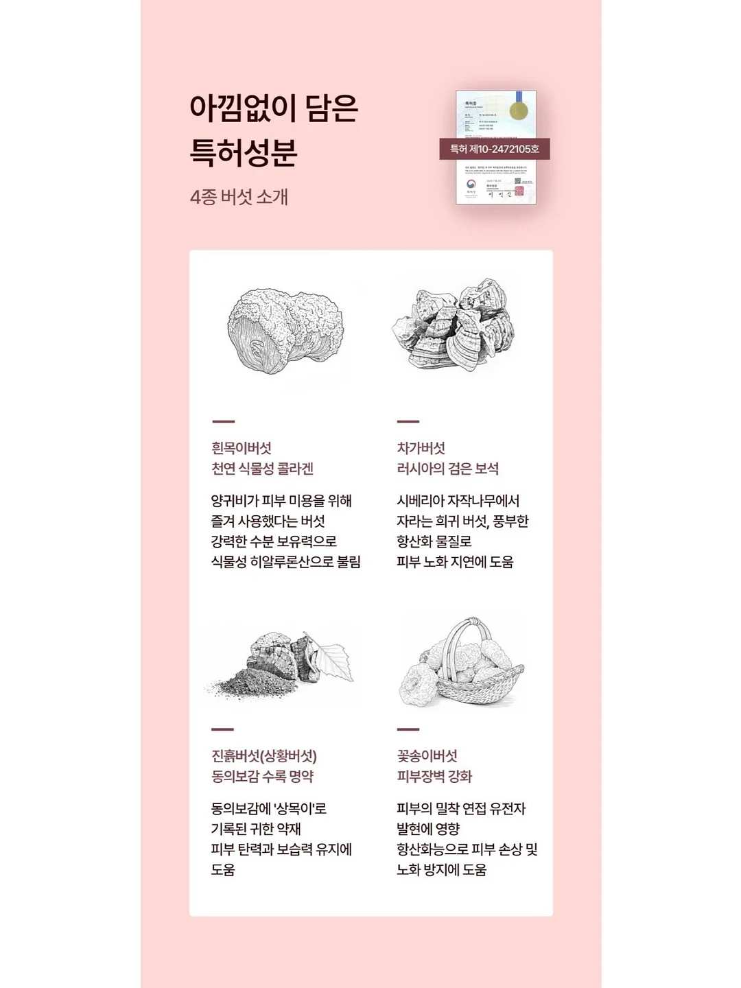 스투키 6