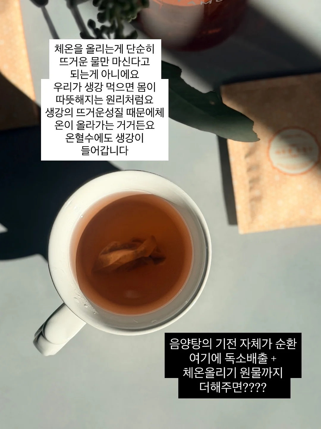 뜨왈 앞치마 2