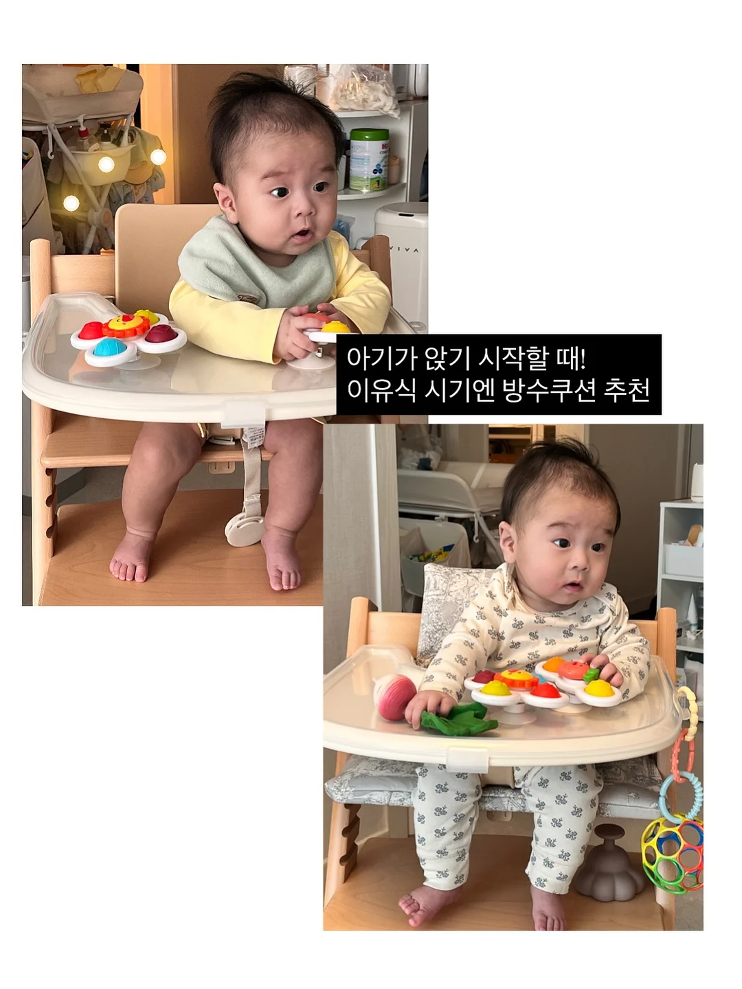 폴로 메쉬 반팔 티셔츠 10