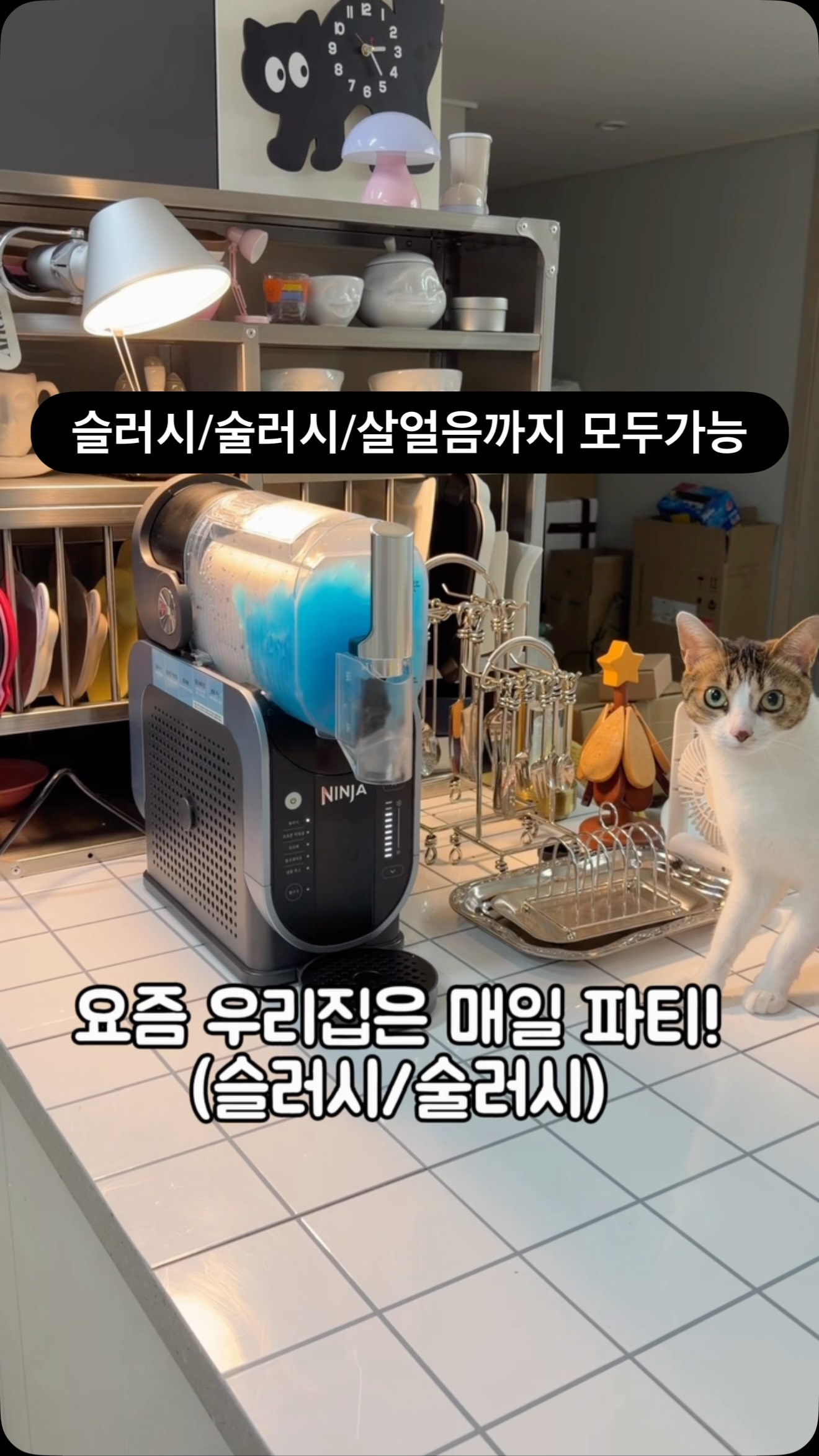 부모의 말 수업