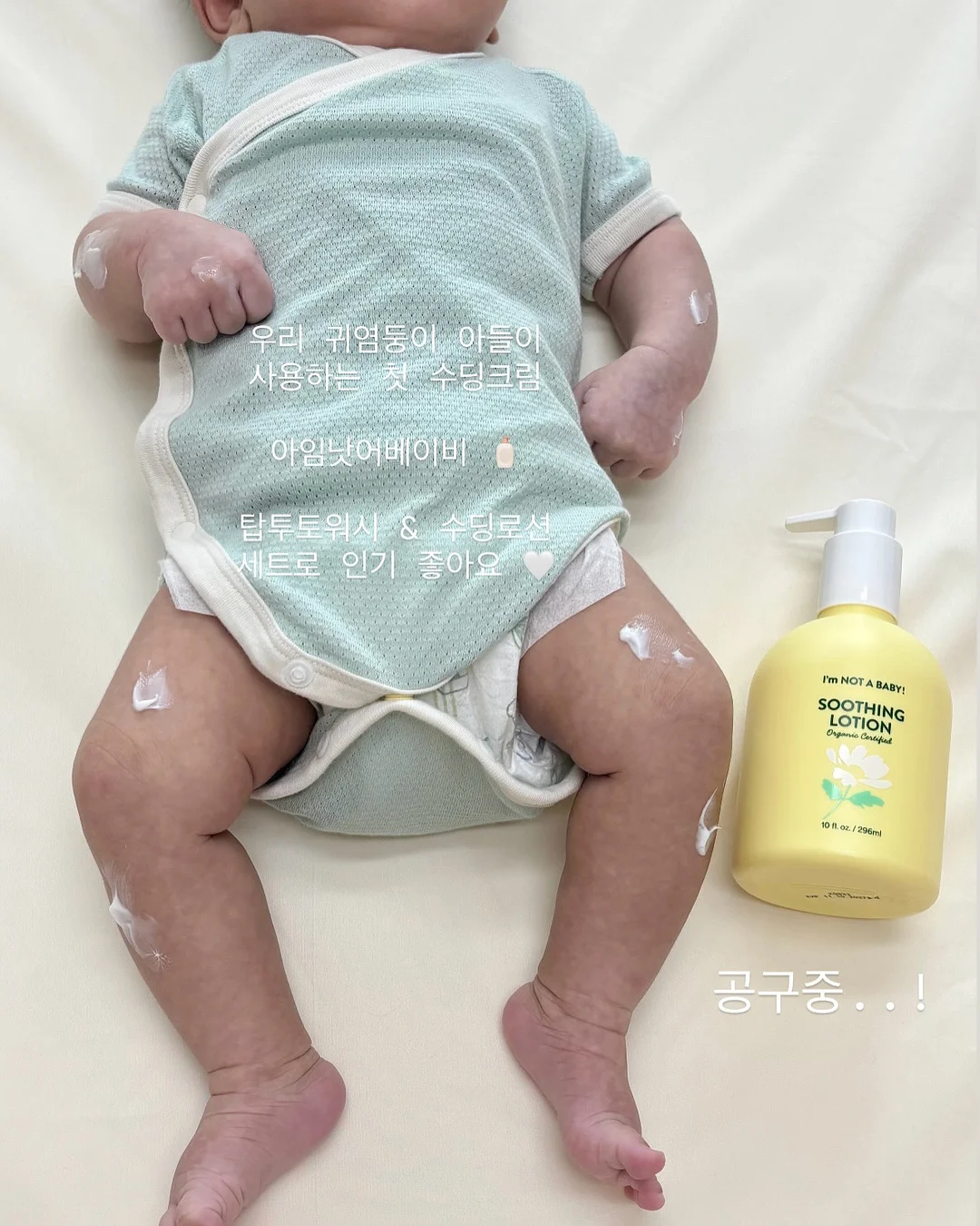 말차회 킨츠기 접시 다식 체험 1