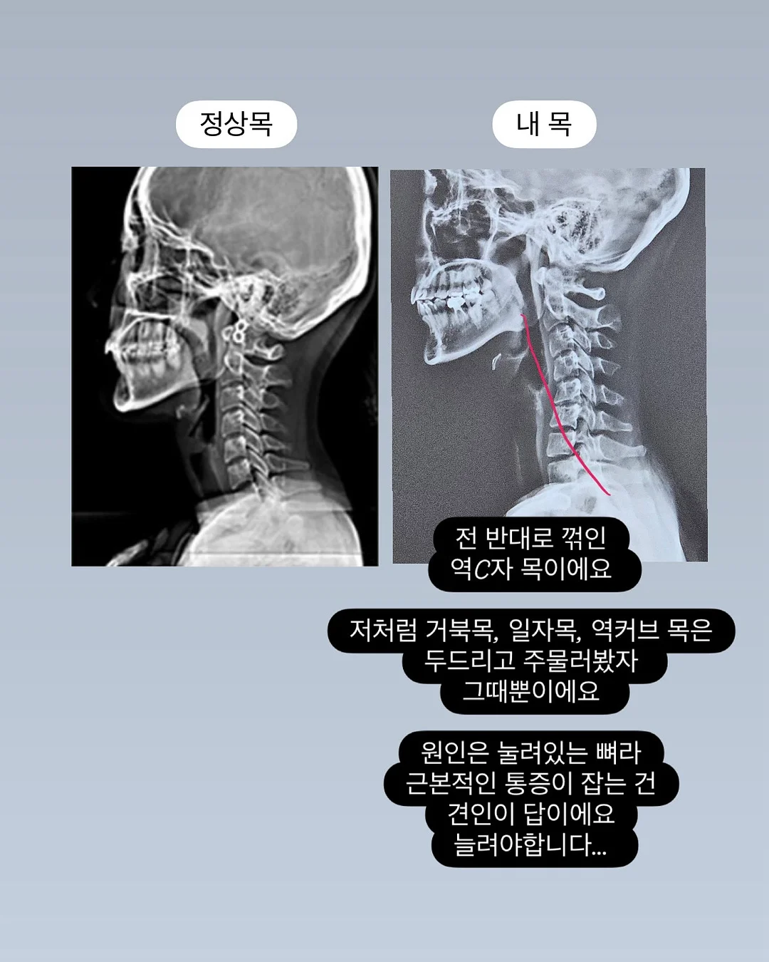 셀린느 투웨이백 3