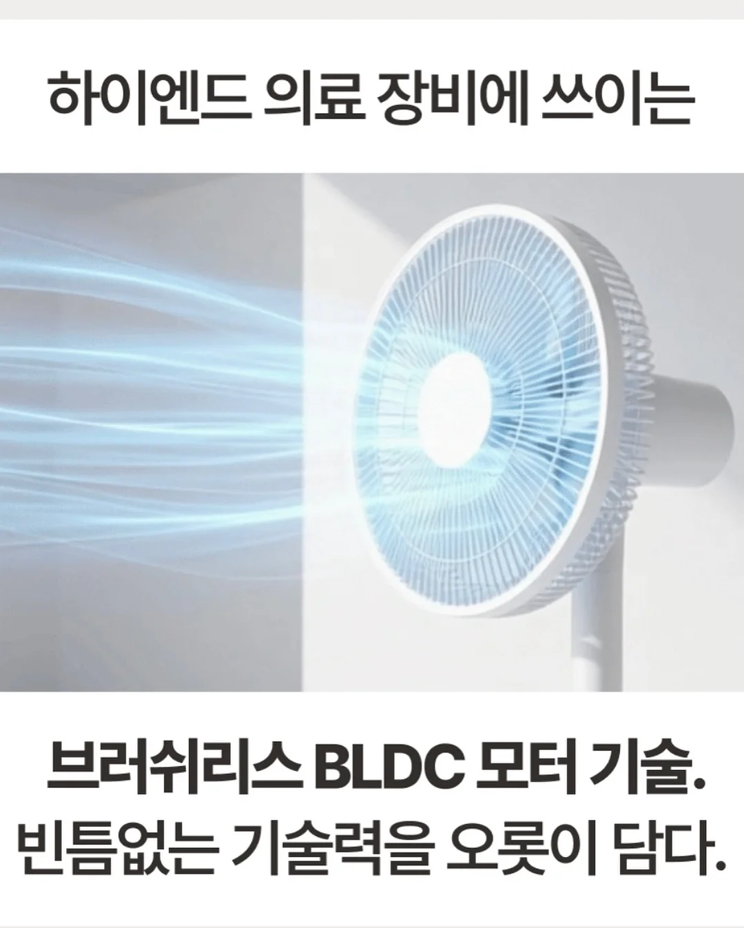 마x 옥수수 4