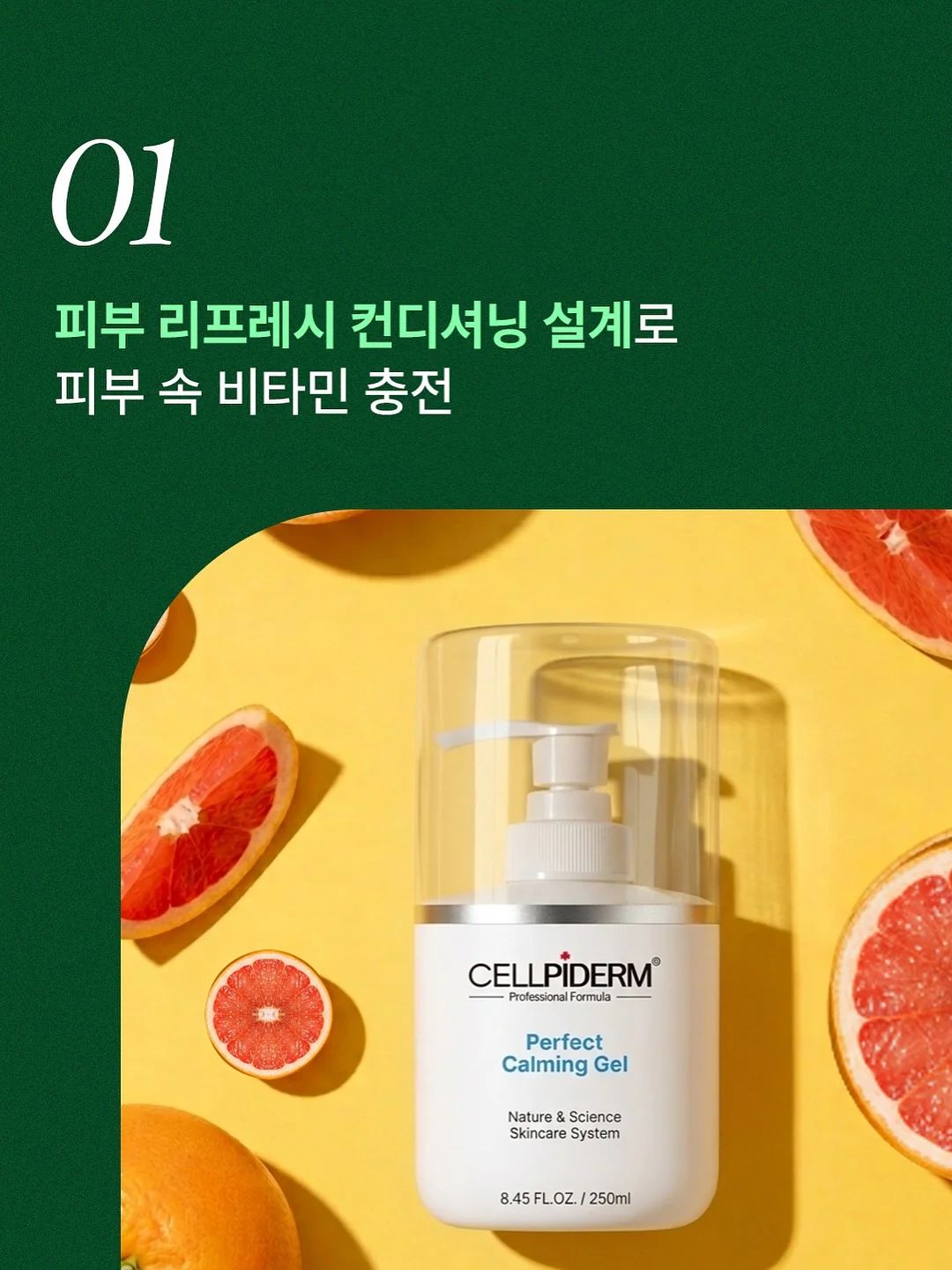 과자창고 7