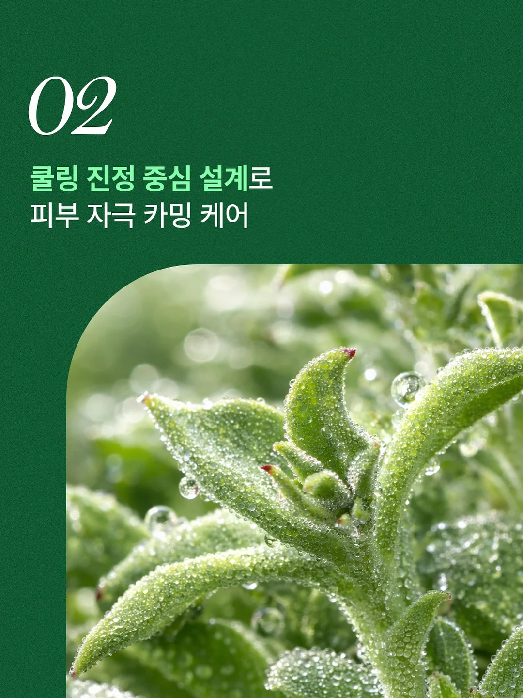 과자창고 9