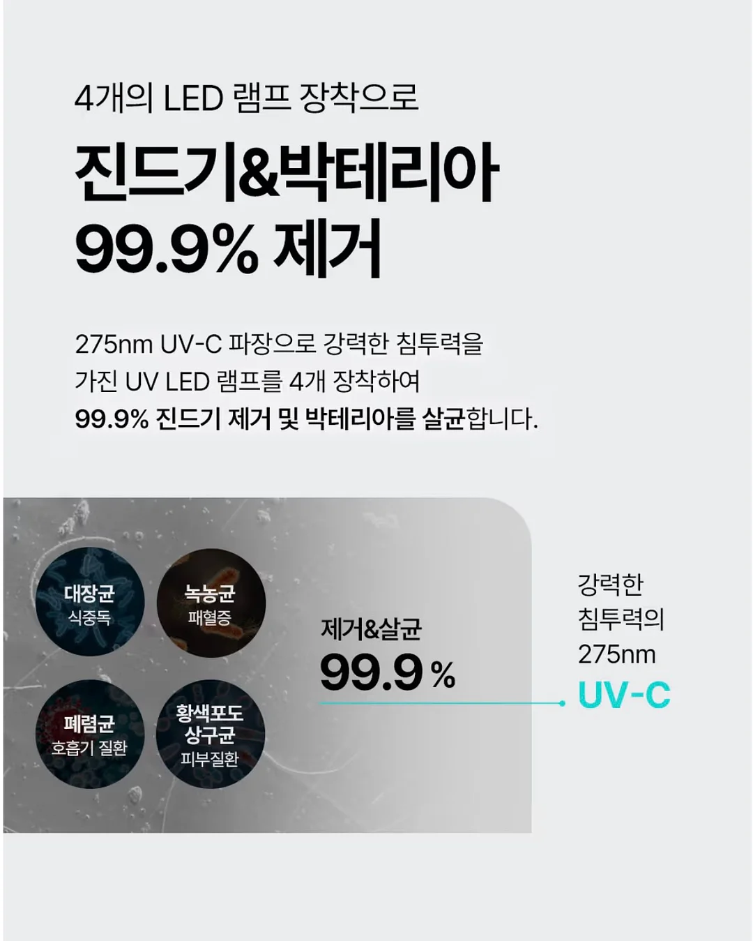 슬리퍼 11