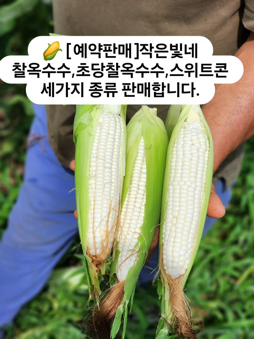 이중내열유리컵 1