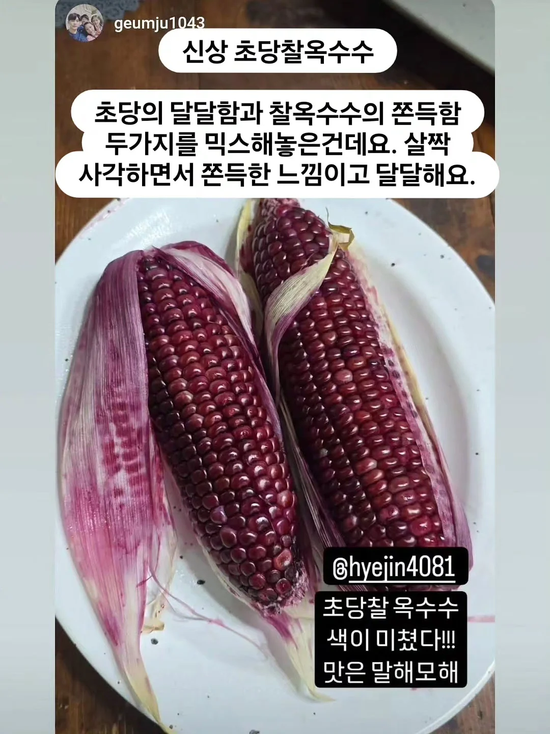 이중내열유리컵 16