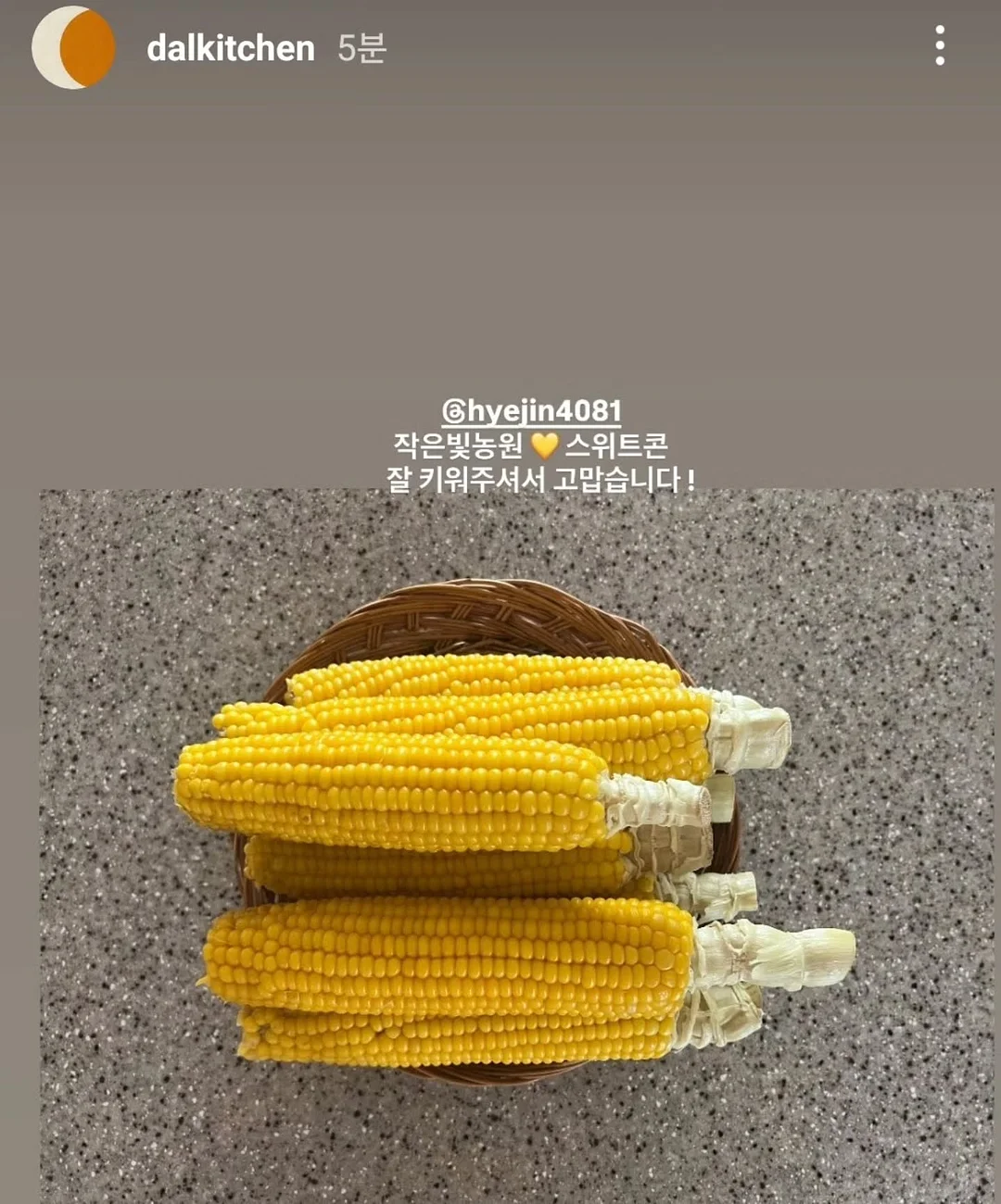 이중내열유리컵 10