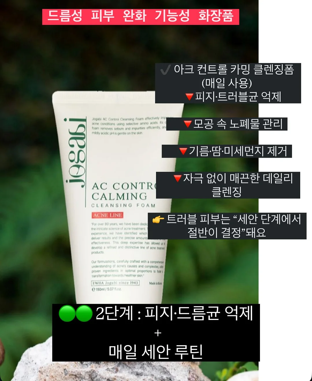 폭죽초 3