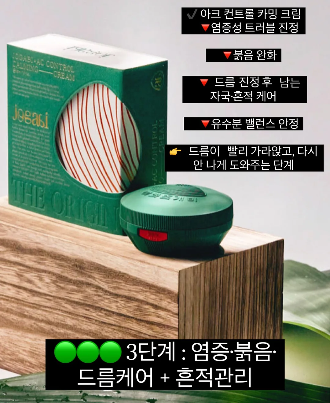 폭죽초 4