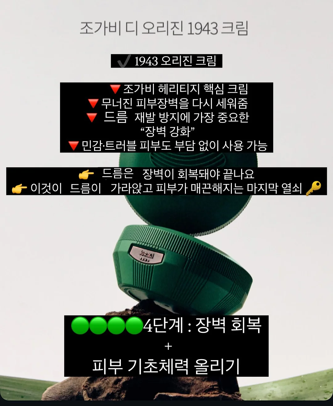 폭죽초 5