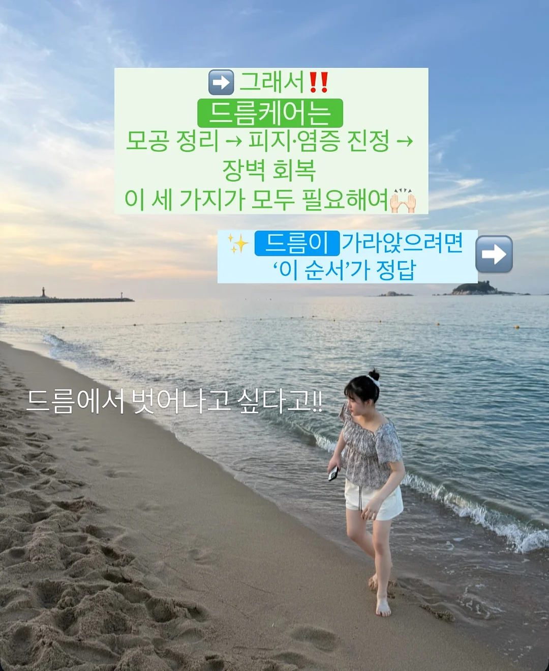 폭죽초 6