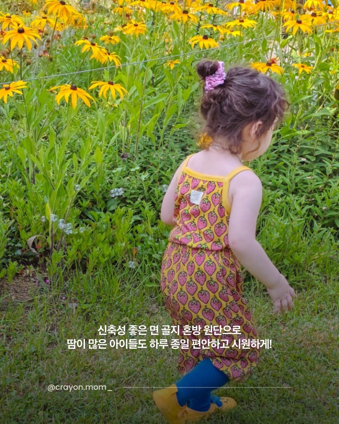 아이돌 팩 3
