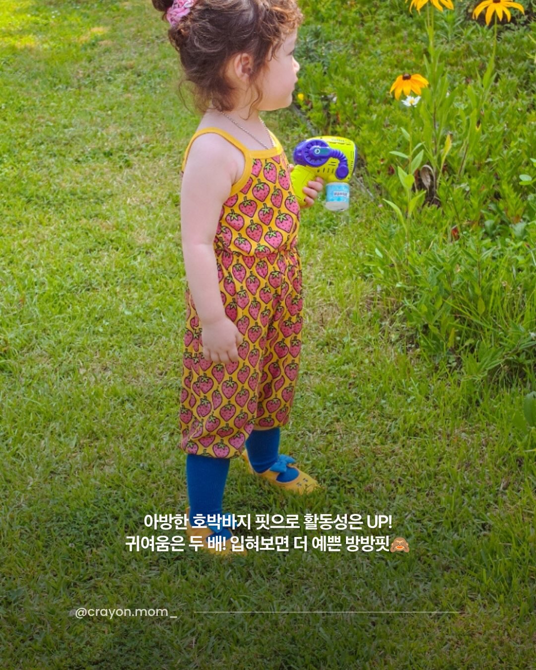 아이돌 팩 4