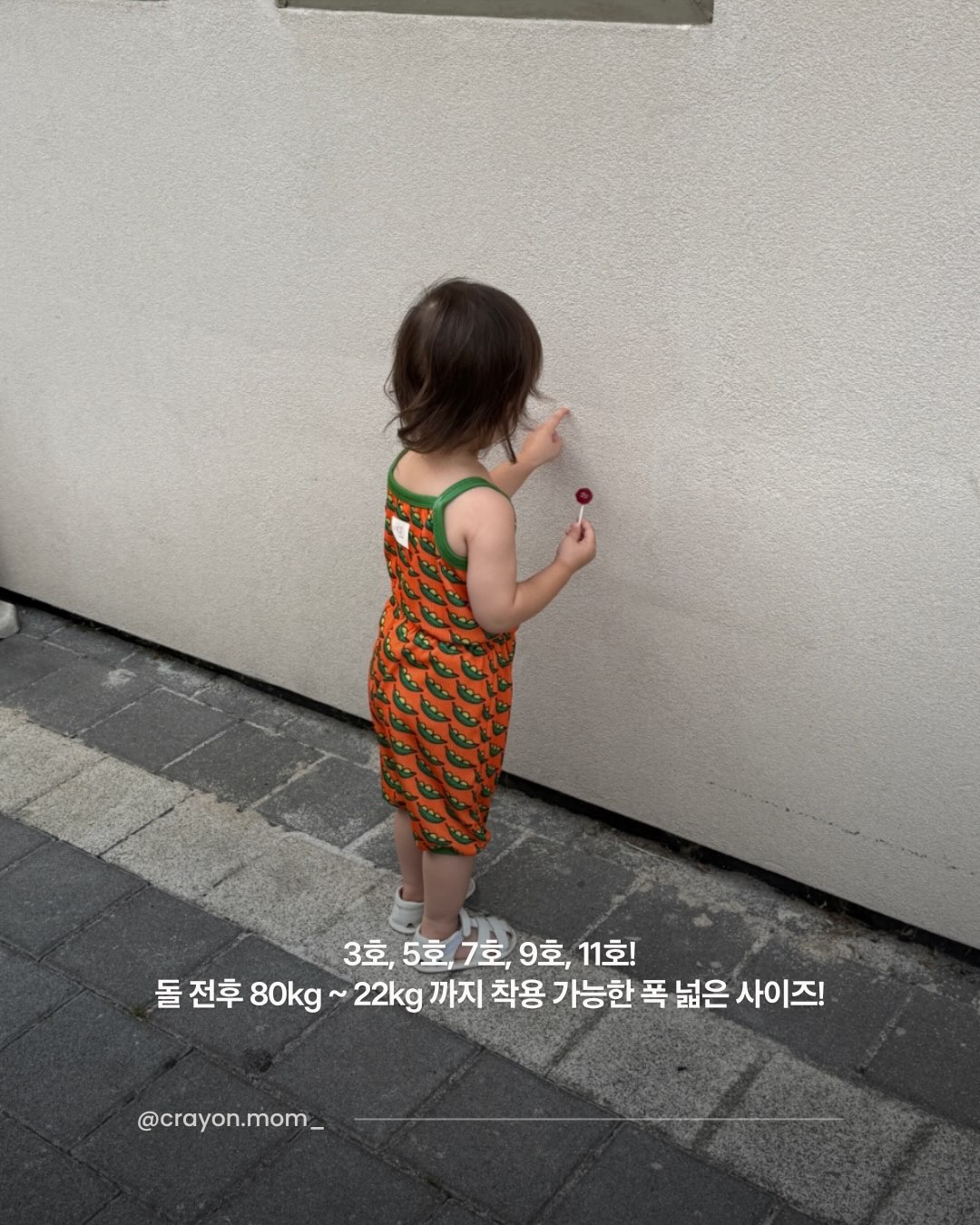 아이돌 팩 6