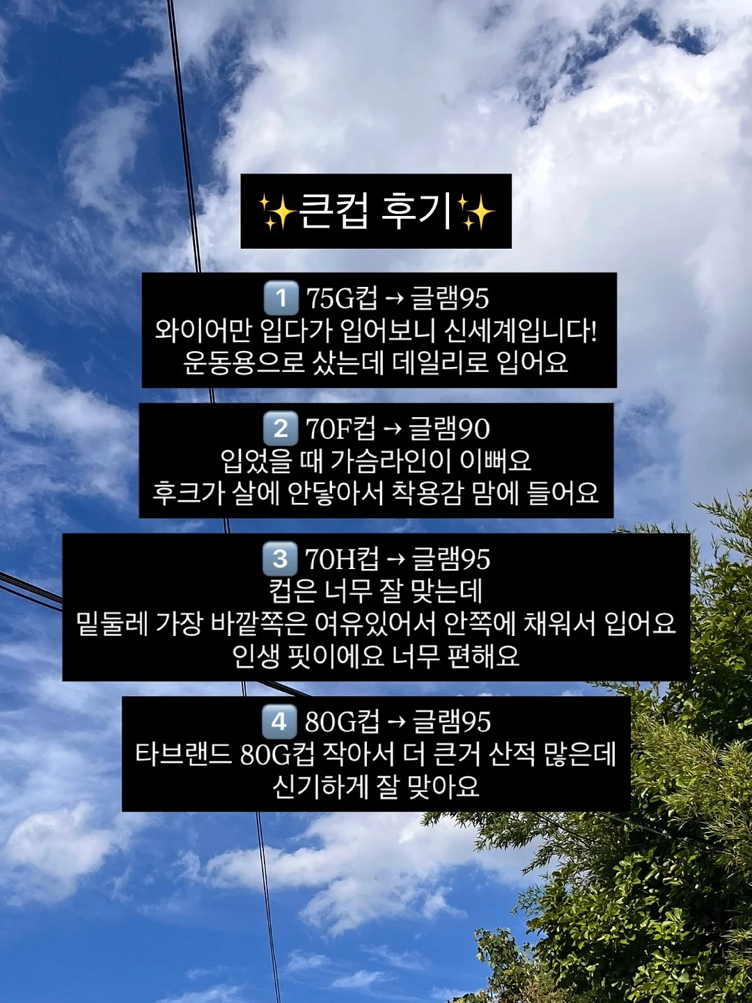 햇 감자 5kg 5